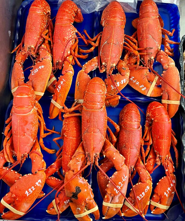 Fish Order Online Nippers Shellfish Order Cornwall's Best Fish