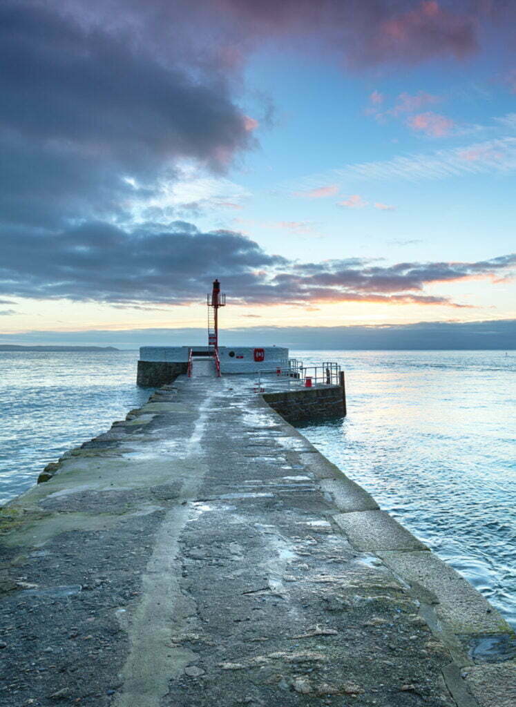 Fresh Fish Delivery UK Order Cornwall's Best Fish Nippers Shellfish